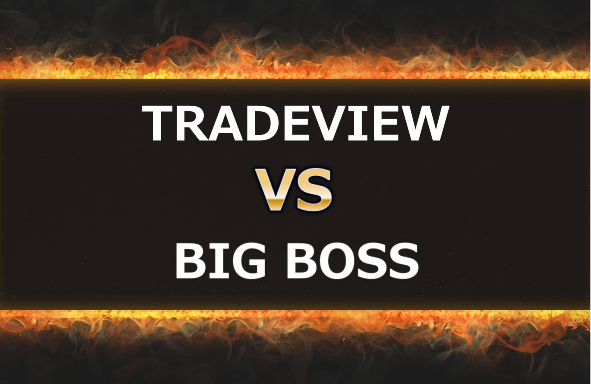 TRADEVIEWとBIG BOSSの比較